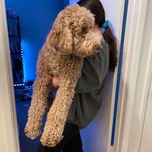 Meet your Posher, Lena